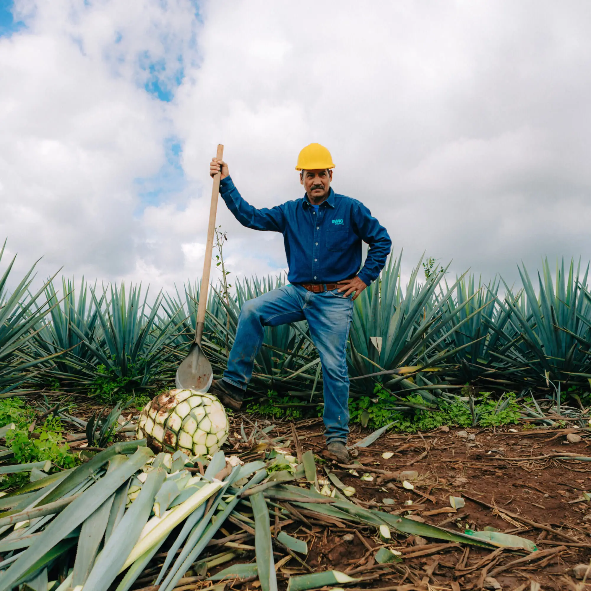 Thorntail Hard Agave: Farmer