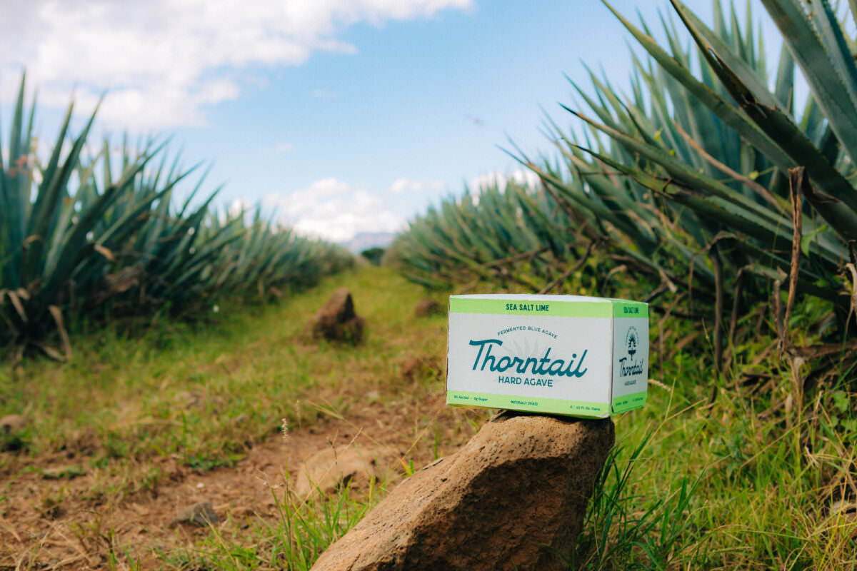 Hard Agave vs. Tequila Thorntail Hard Agave